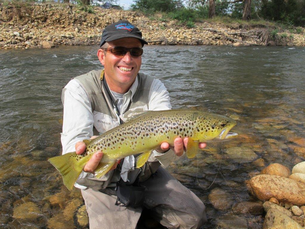 A great brown from the stocked stretch of the King River in 2011 - but it's a wild-bred fish.