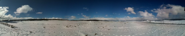 The snow melt to melt a trout fisher's heart