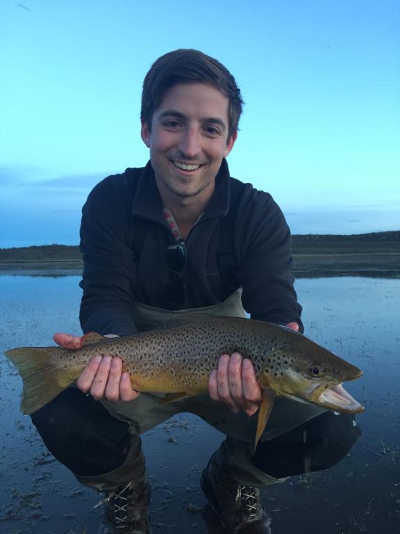 A Western Lakes brown on a summer evening.