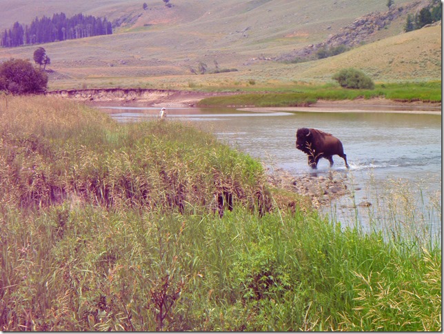 The wildlife is just one part of the Montana experience.