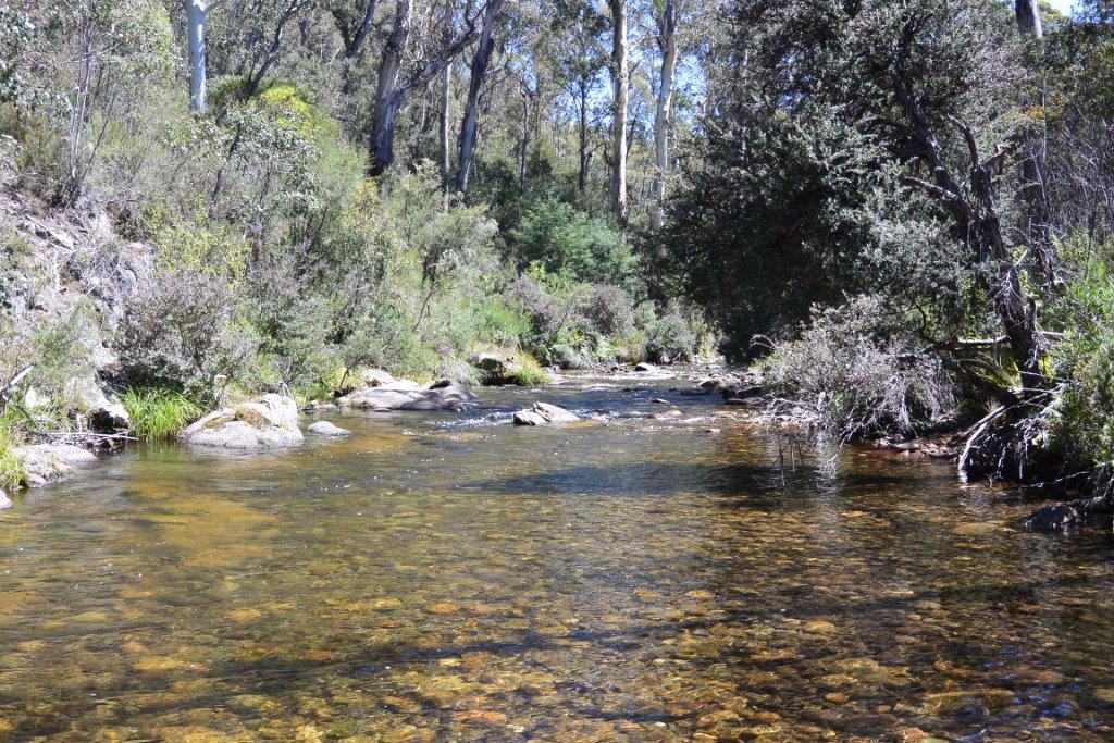 Mitta backcountry; lovely water but mostly tough fishing.