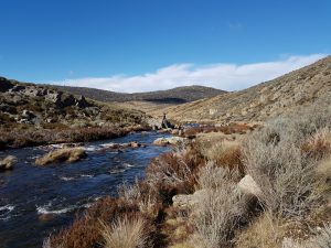 Upper Eucumbene with a good flow
