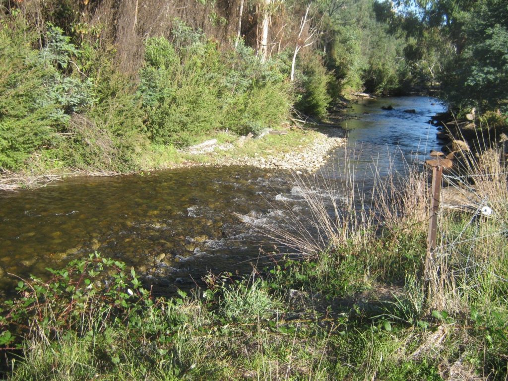 Beautiful rivers such as this are a large part of the appeal of fly fishing.