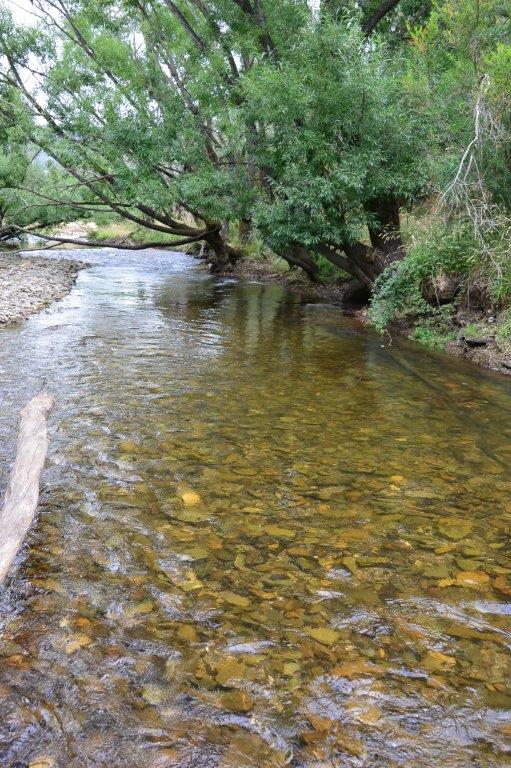 The natural streams in the upper Murray valley are in prime condition.