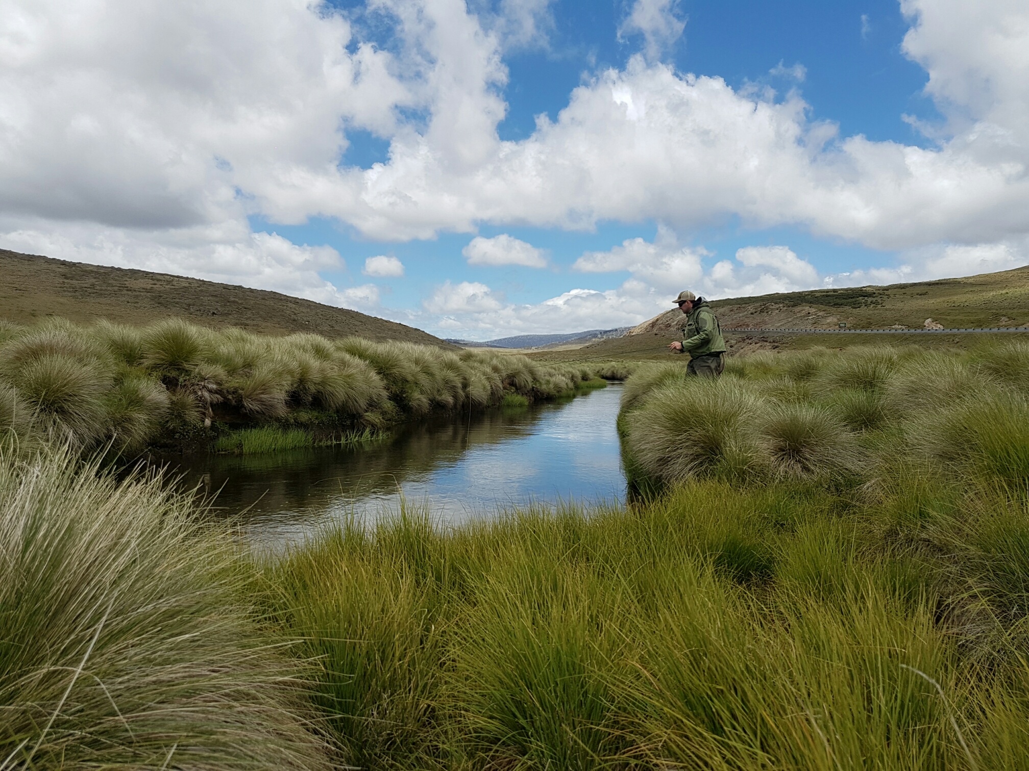 Concentration as the Elk Hair Caddis drifts along an undercut bank on the upper Eucumbene