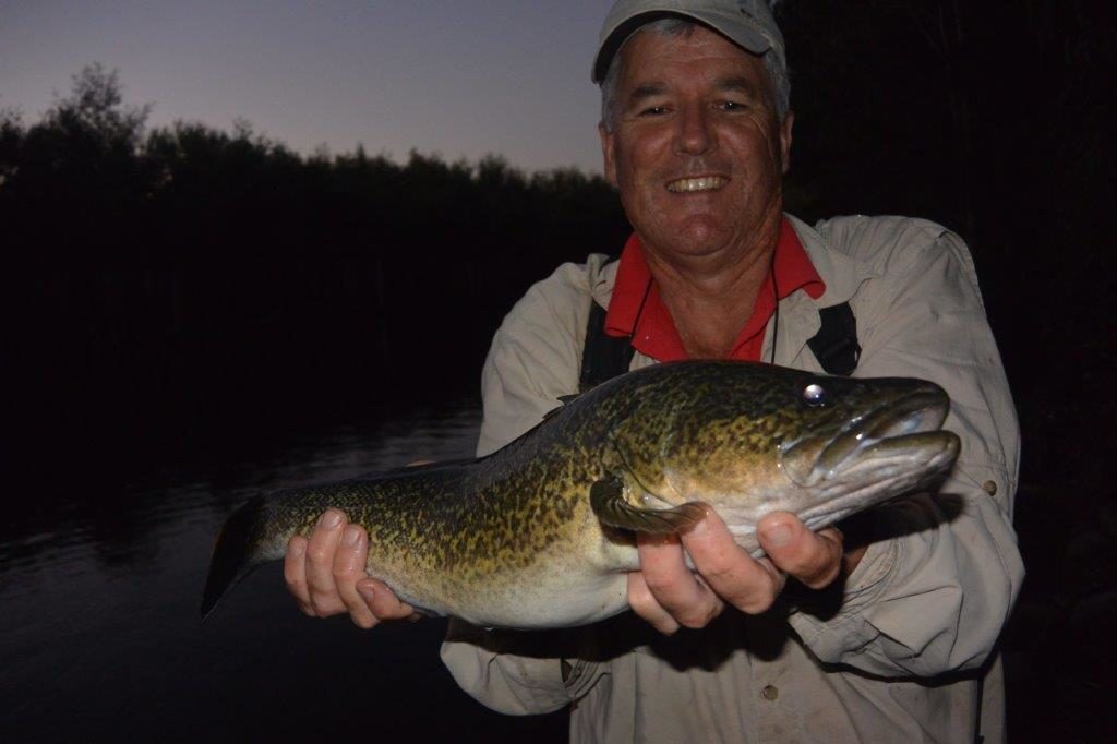 While well and truly catchable by day, it seems cod - like trout - fire up on evening.