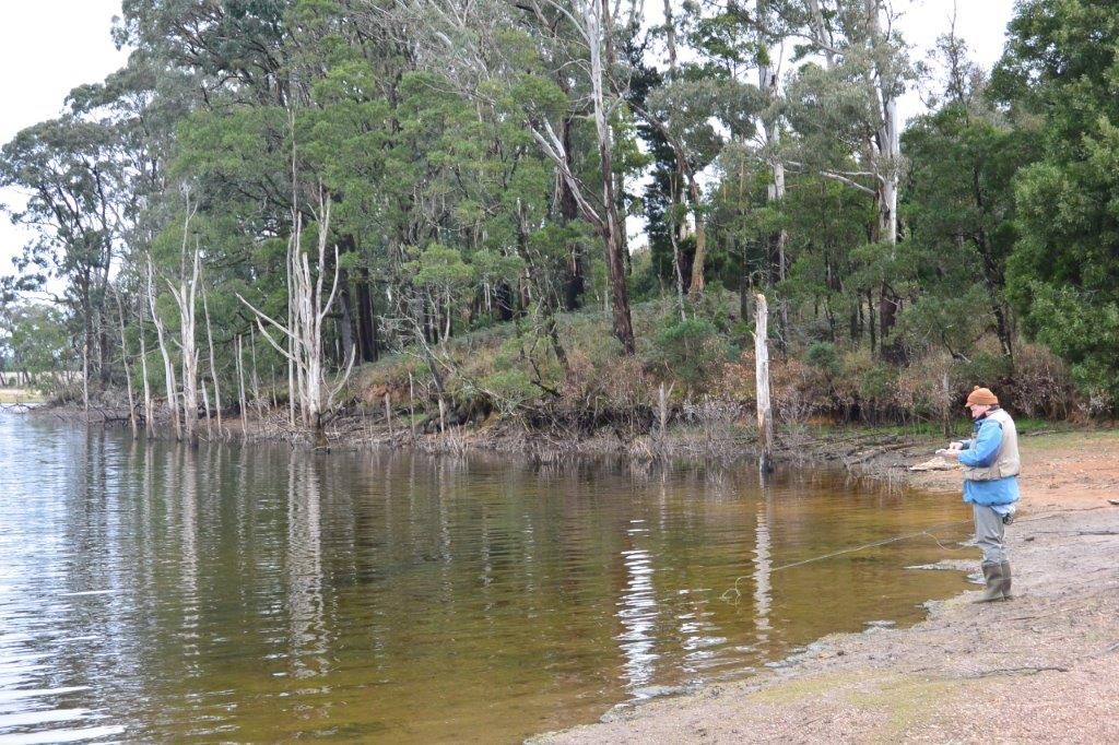 The sheltered Moorabool shore where the trout were midging. 